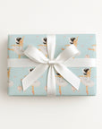 A rectangular gift box wrapped in light aqua wrapping paper featuring a ballet dancer pattern, tied with a wide white satin ribbon and bow, photographed from above on a clean white background.